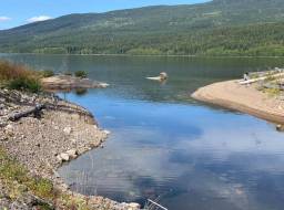Mouth of rebuilt Edney Creek at Quesnel Lake. Cleaned shoreline with gravel placed for fish spawning, planted shrubs, and placed coarse woody debris--Aug 2019